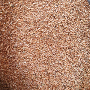 Linseed brown