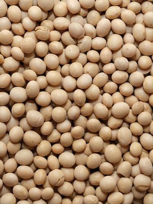 Soybeans