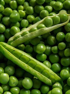 Erbsen