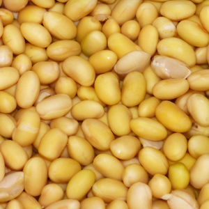 Soybeans