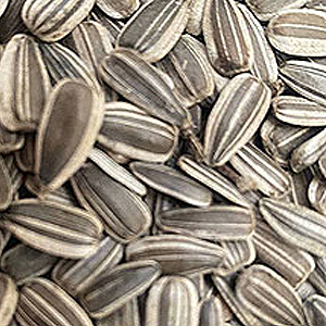 Iregi sunflower seeds