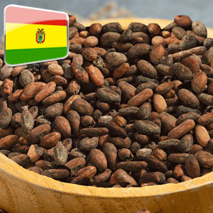 Kakavova zrna