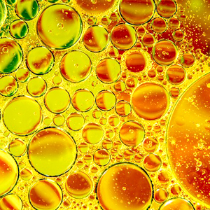 Sunflower oil (raw)