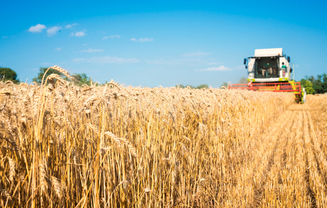 Harvest