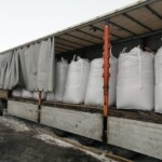 Organic linseed from Kazakhstan