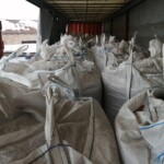 Organic linseed from Kazakhstan